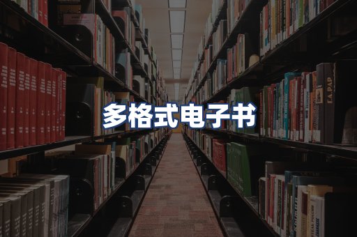 多格式电子书